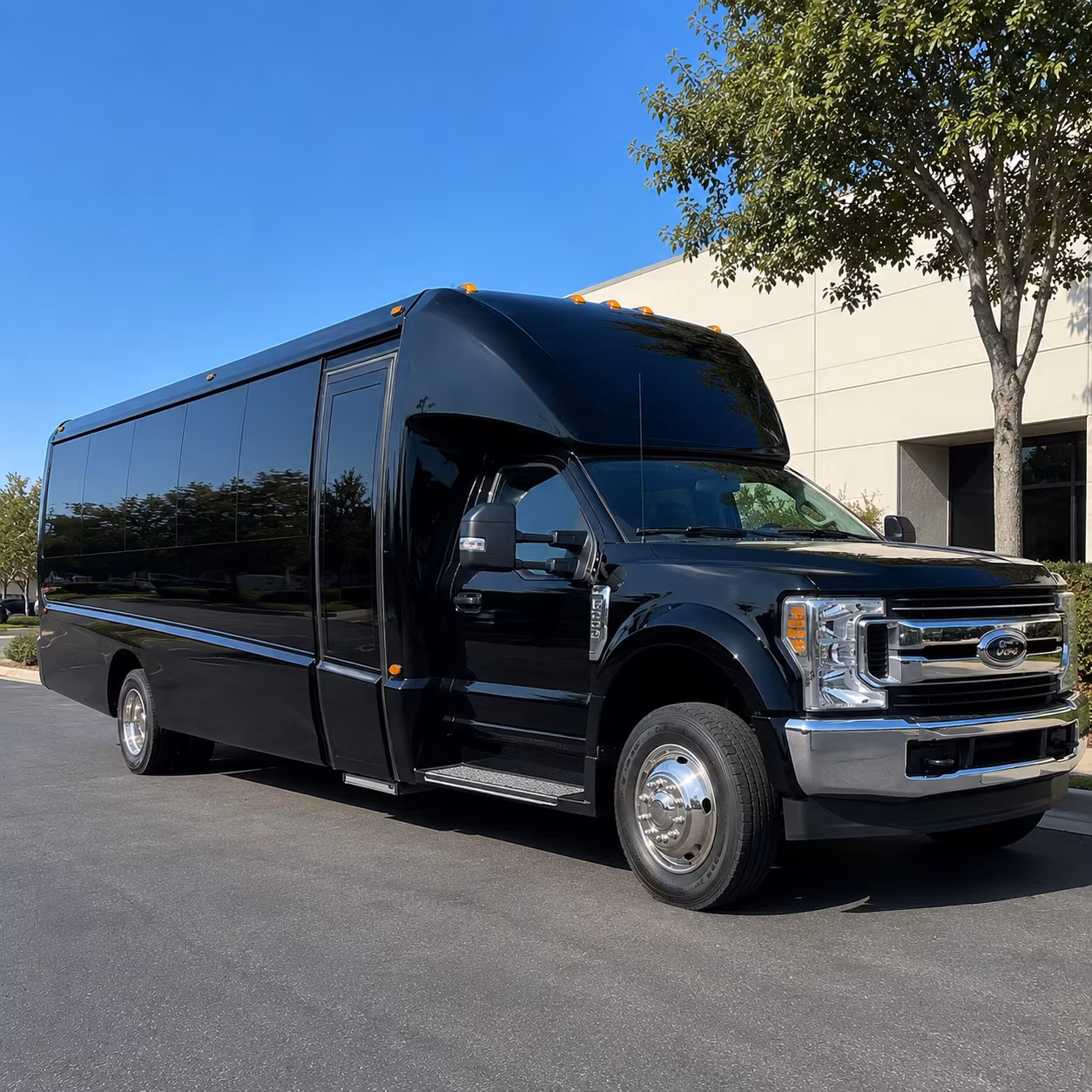 charter buses to tampa bay rays games at tropicana field